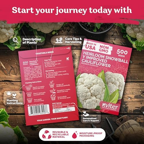 500 Snowball Y Improved Cauliflower Seeds for Planting, Brassica Oleracea - Image 2