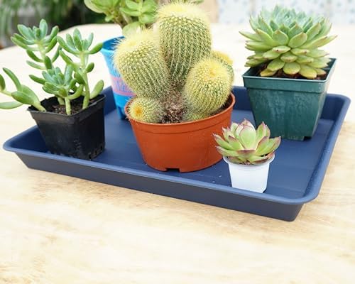VUWEZ Rectangle Plant Tray, Plant Drip Tray, Plant Pot Saucers, Plant Germination Trays, Plant Saucers, 17.5'' x 10.6'' x 1.5'' (2 pack), Blue - Image 5