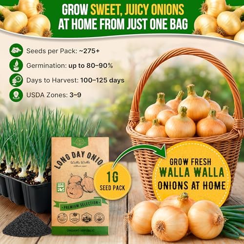 Onion Walla Walla Seeds Pack 1G - Over 275 Non-GMO Heirloom Onion Seeds for Planting Vegetables in Individual Seed Packet, Vegetable Seeds for Planting Home Garden Indoor & Outdoor Gardening - Image 4