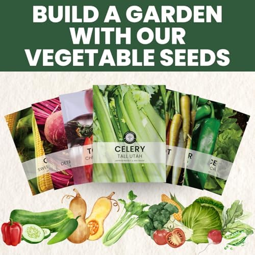 Celery Tall Utah – 4,500 Premium Seeds for Planting – Crisp, Aromatic, Slow-Bolting Heirloom for the 2026 Season – 2 Gram Pouch - Image 6