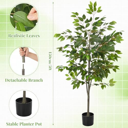 Daifunli 2 Pack Artificial Ficus Tree with Realistic Leaves Natural Trunk - Image 3