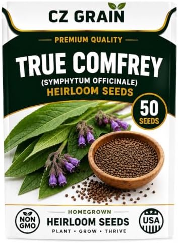50 True Comfrey Seeds | Symphytum Officinale Perennial Herb by CZGrain
