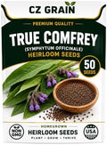 50 True Comfrey Seeds | Symphytum Officinale Perennial Herb by CZGrain