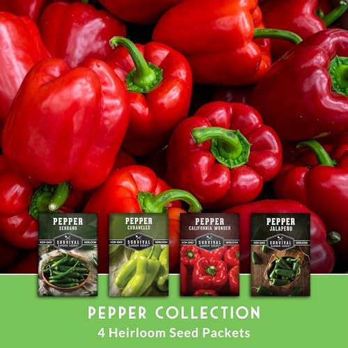 Pepper Seeds Collection - 4 Variety Pack for Planting - Image 3