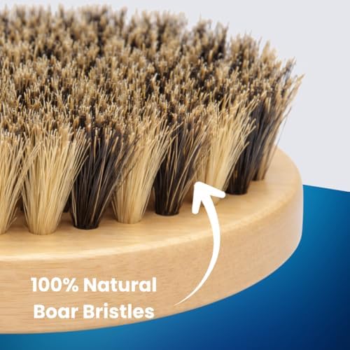 Beard Brush for Men, Natural Boar Bristles, Black Oval Wave Brush, Warp Resistant Wood Handle, for Fuller Thicker Hair, Beard & Mustache Growth, Exfoliation (Maize) - Image 4