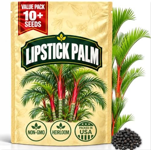 Premium Lipstick Palm Tree Seeds – 10 Seeds – Palm Tree Seeds for Planting (Cyrtostachys Renda) Tropical Red Trunk Ornamental Palm for Outdoor Growing & Containers by WilyFox