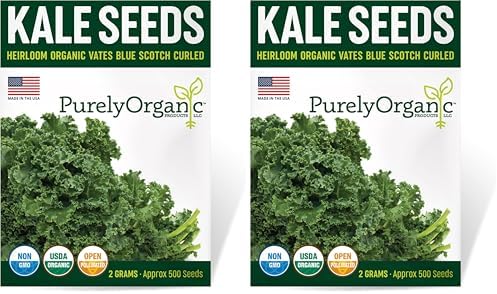 Organic Kale Seeds (Vates Blue Scotch Curled) - Approx 500 Seeds - USDA Organic, Non-GMO, Open Pollinated, Heirloom, USA Origin (Pack of 2) by Purely+Organic+Products+LLC