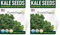 Organic Kale Seeds (Vates Blue Scotch Curled) - Approx 500 Seeds - USDA Organic, Non-GMO, Open Pollinated, Heirloom, USA Origin (Pack of 2) by Purely+Organic+Products+LLC