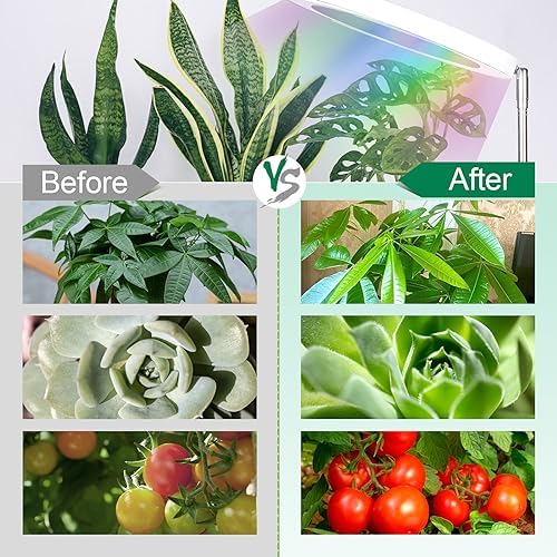 WaterRebirth PGL06 Ring Plant Grow Light, 6.3 Inch 14W Full Spectrum Grow Lamp with Timer, 10 Brightness & 3 Modes, Adjustable Height 9.5‑59 Inch for Large Potted Indoor Plants - Image 7