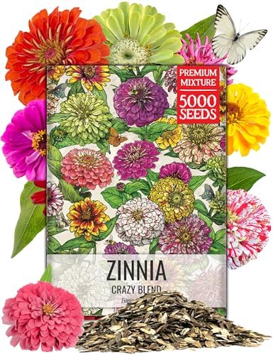 Seed Needs Zinnia Seeds Original Crazy Blend 5,000 Seeds Heirloom Bulk Pack by SeedNeeds