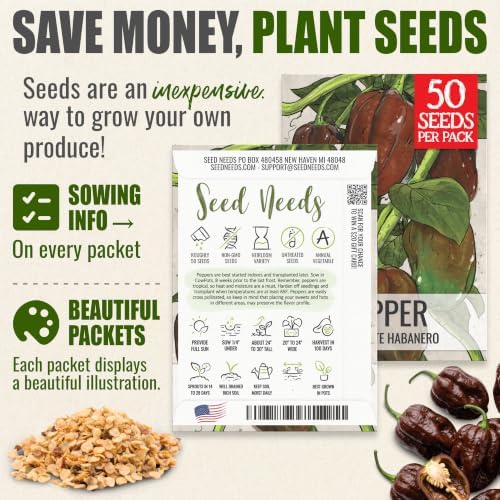 Seed Needs Chocolate Habanero Pepper Seeds to Plant Vegetables - 5 Packs - Image 3