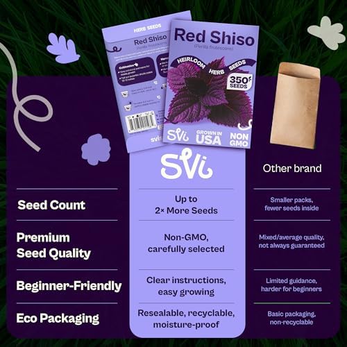 SVI 350 Red Shiso Seeds (Perilla frutescens) – Japanese Shiso Purple Perilla Seed Packets, Aromatic Leaves – Japanese Heirloom Herb Seeds for Outdoor & Indoor Herb Garden - Image 6