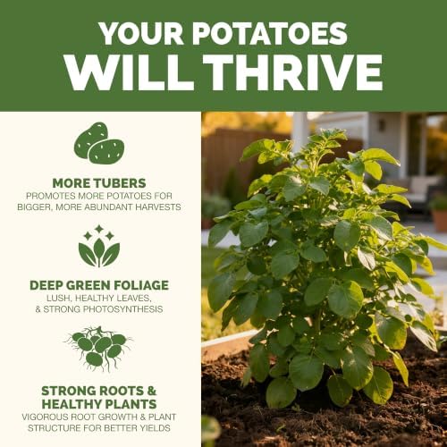 Potato Fertilizer – Liquid Plant Food for Vigorous, Healthy Growth, 8 oz - Image 2