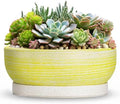Succulent Pots, 13 Inch Ceramic Bonsai Tree Pots, Brushed Yellow by Wliror