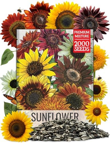Seed Needs Sunflower Seeds to Plant Original Crazy Blend 2 Ounce Bulk Pack by SeedNeeds