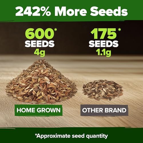 HOME GROWN Coral Zinnia Seeds, 600 Seeds, Zinnia elegans - Image 3