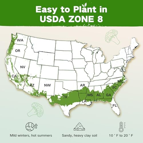 Zone 8 Heirloom Seed Bank, 32 Types Non-GMO Seeds for Planting Vegetables - Image 2