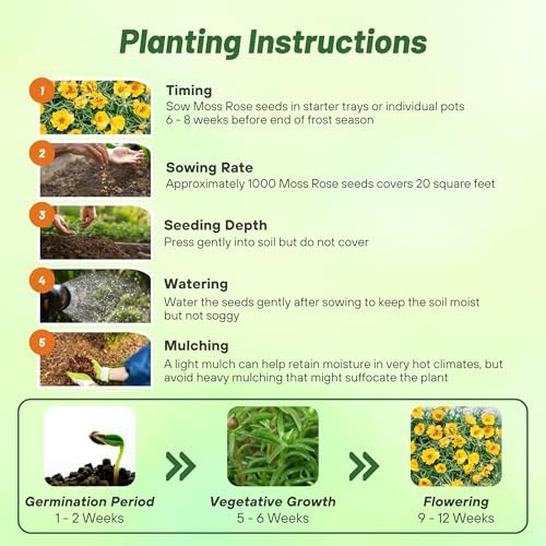 Outsidepride Yellow Moss Rose Seeds - 10000 Pcs Annual, Drought & Heat Tolerant, Pollinator Friendly Ground Cover Seeds for Planting w/Vibrant Blooms & Succulent Foliage, Ideal for Xeriscaping - Image 5