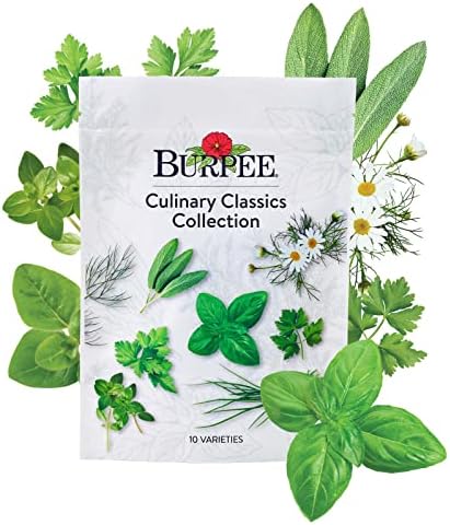 Burpee Culinary Classics Garden Collection 10 Packets of Non-GMO Chives, Cilantro, Basil, Sage, Thyme, Dill, Parsley, Chamomile, Marjoram & Oregano | Kitchen Herb Variety Pack, Seeds for Planting by Burpee