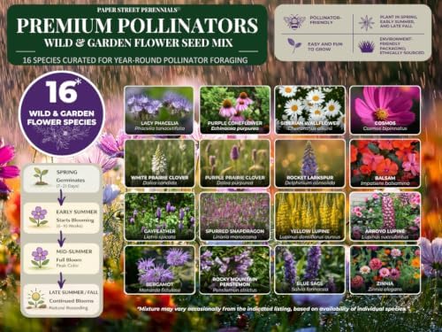 Wildflower Seeds for Pollinators Garden – Premium Pollinators™ – 16-Species Flower Mix for Bees, Butterflies & Hummingbirds – Annuals & Perennials – 8 oz Covers 1,000 Sq Ft – Paper Street Perennials® - Image 3
