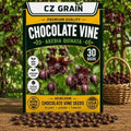 30 Chocolate Vine Seeds | Akebia Quinata Climbing Vine Seeds by CZGrain
