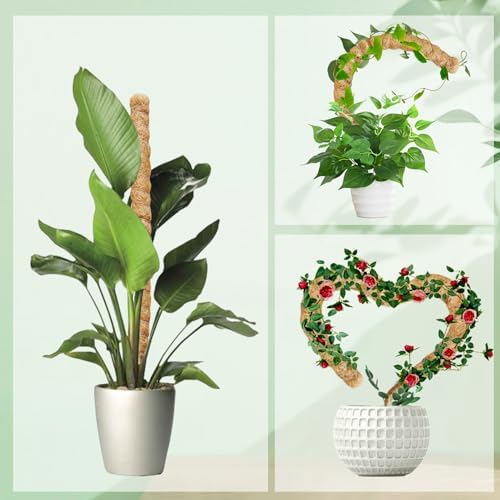 2 Pack Moss Pole,27.6 Inch Moss Poles for Plants Monstera Bendable Plant Stakes for Indoor Coco Coir Pole Climbing Plant Support Stakes for Creeper Plants Grow Upwards - Image 2