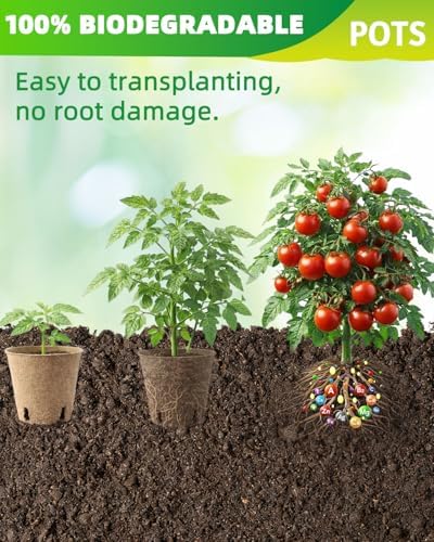 LWWTBS 3.15" Peat Pots 60Pcs Biodegradable Pots for Seedlings - Image 4