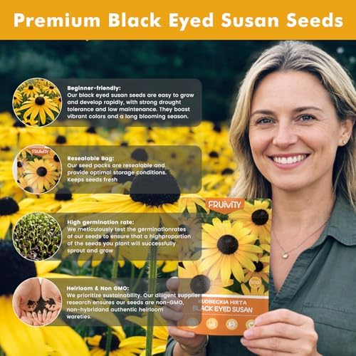 120000+ Black Eyed Susan Seeds for Planting, Heirloom Rudbeckia Hirta Wildflower Seeds for Outdoor Gardens, Pollinator Beds, Borders & Containers, Attracts Bees and Butterflies - Image 7