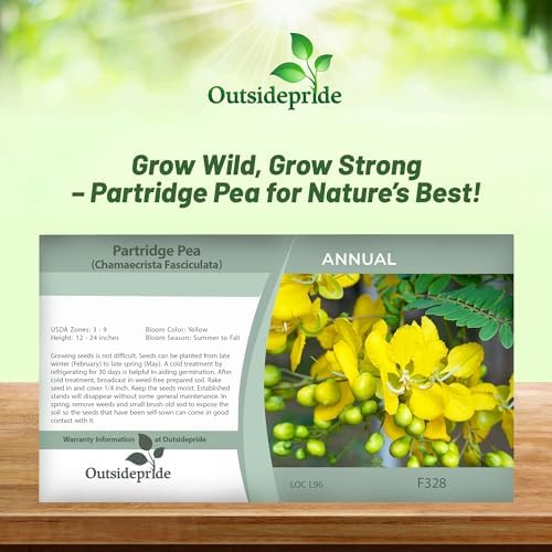 Outsidepride Partridge Pea Seeds - 1000 Pcs. Annual, Drought Tolerant & Fast Growing, Pasture Seeds for Planting Dense Foliage & Large Yellow Blooms for Xeriscaping & Pollinator Gardens - Image 4