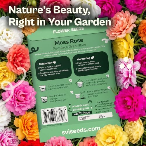 SVI 5500 Moss Rose Non GMO Heirloom Flower Seeds, Portulaca grandiflora - Image 2