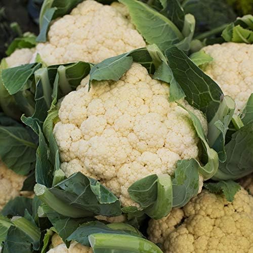 Mountain Valley Seed Co Cauliflower Seeds All Year Round 1 Oz ~9,000 Seeds by MountainValleySeedCompany