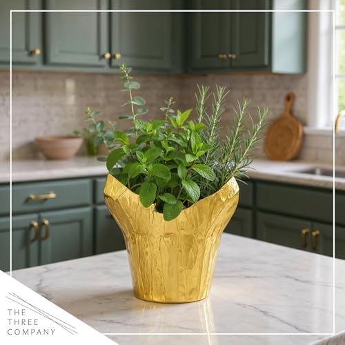 Herb Combo - Breathe Better, Eucalyptus, Mint & Rosemary, Aromatic Plant Collection in Deco Cover, 12" Tall by 6" Wide in 1.25 Qt Pot - Image 5