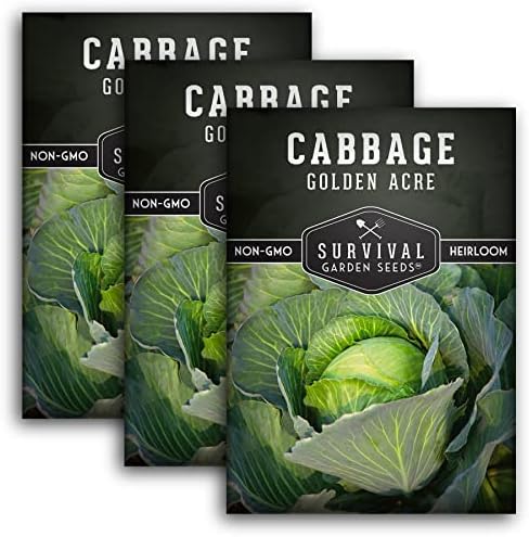 Golden Acre Cabbage Seeds for Planting – Survival Garden Seeds (3 Pack) by SurvivalGardenSeeds