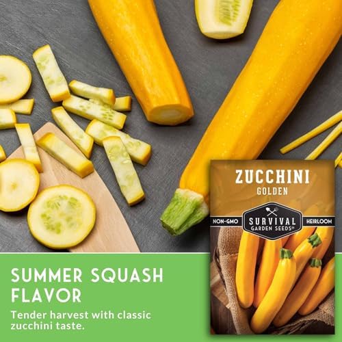 Golden Zucchini Seeds for Planting - 2 Packs - Image 4