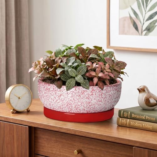 Ceramic Succulent Planter, 8 Inch Bonsai Pots with Tray, Texture Red - Image 6