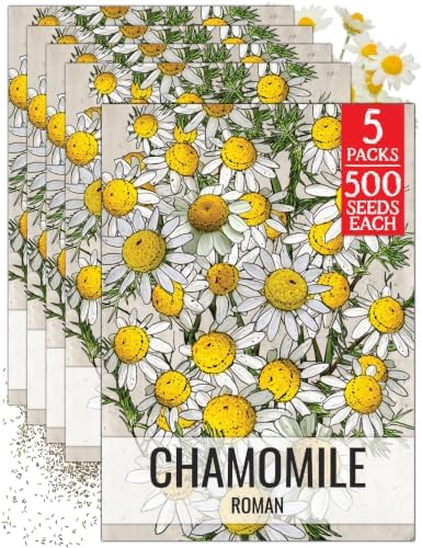 Seed Needs Roman Chamomile Seeds to Plant an Herb Garden - 5 Packs by SeedNeeds
