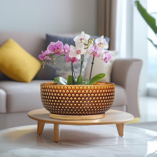 Bonsai Pots - 8 Inch Succulent Bowl for Indoor Plant, Shallow Round Ceramic Planters with Drainage Hole and Saucer, Boho Home Room Office Apartment Decor, Plant Lovers Gifts, Brown - Image 6