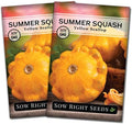 Sow Right Seeds - Yellow Scallop Summer Squash Seed for Planting Garden 2pk by SowRightSeeds