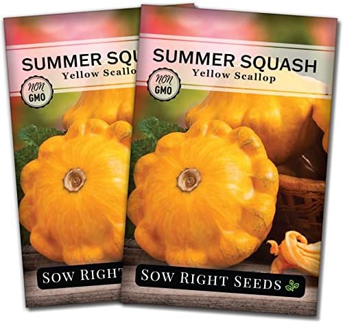 Sow Right Seeds - Yellow Scallop Summer Squash Seed for Planting Garden 2pk by SowRightSeeds