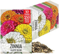 Seed Needs Lilliput Zinnia Seeds to Plant Cut Flowers - 10 Packs by SeedNeeds