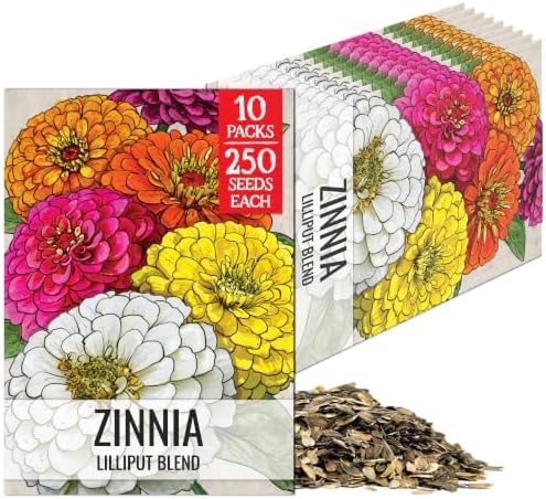Seed Needs Lilliput Zinnia Seeds to Plant Cut Flowers - 10 Packs by SeedNeeds