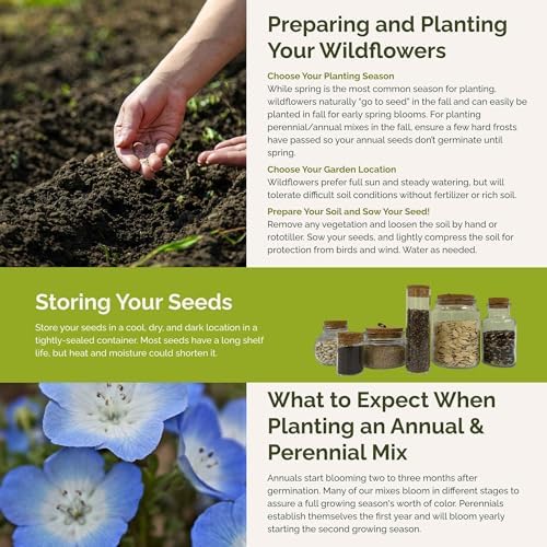 Eden Brothers Singin the Blues Wildflower Mixed Seeds for Planting, 1 lb, 480,000+ Seeds with Blue Flax, Lupine, Chicory | Attracts Pollinators, Plant in Spring or Fall, Zones 3, 4, 5, 6, 7, 8, 9, 10 - Image 5