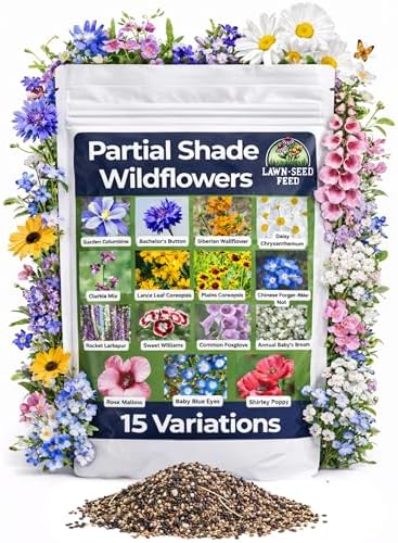 Partial Shade Wildflower Mix Seed (2oz) – Shade-Loving Wildflowers that Produce Vibrant Blooms in Low-Light Areas and Dappled Sun. Perfect for Yards, Garden beds, Fence Lines, and Woodland Edges. by LawnSeedFeed