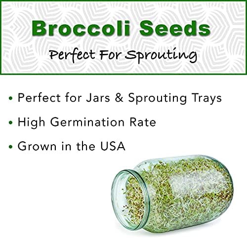1 lb Broccoli Sprouting Seeds - Perfect for Sprouting & Microgreens, Rich in Sulforaphane, USA Grown (Resealable Bag) - Image 3