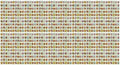 Black Duck Brand Set of 1000 Flower Seed Packets! Flower Seeds in Bulk - Best Value Seeds - Great for Classrooms, Beginner Gardeners and Kids! - Deluxe Varieties! (1000) by BlackDuckBrand