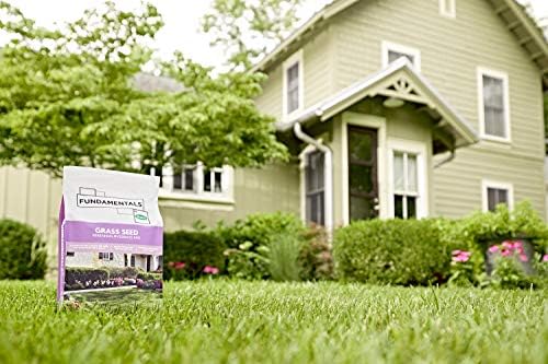 Fundamentals by Scotts Grass Seed Perennial Ryegrass Mix, Ideal for Sunny, High Traffic Areas and Erosion Control, 3 lbs. (Pack of 2) - Image 5