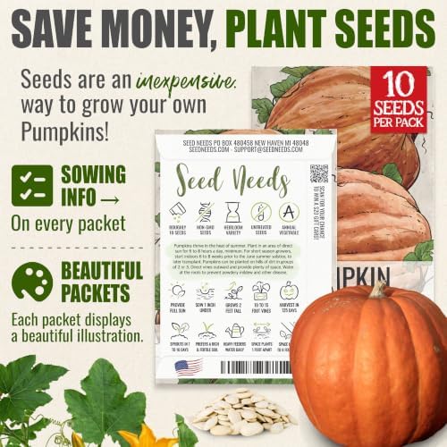 Seed Needs Atlantic Giant Pumpkin Seeds to Plant Vegetables - 5 Packs - Image 3