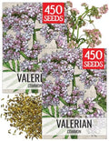 Seed Needs Valerian Seeds to Plant an Herb Garden - 2 Packs by SeedNeeds