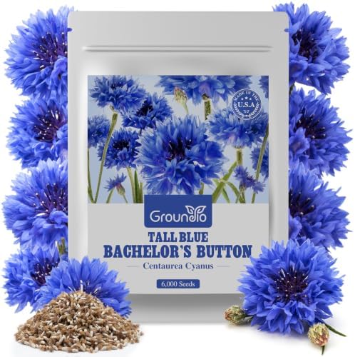 Groundio Bachelor Button Seeds Tall Blue 6000+ Seeds by Groundio