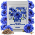 Groundio Bachelor Button Seeds Tall Blue 6000+ Seeds by Groundio